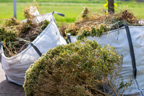 Professional Junk Removal in Livingston, LA